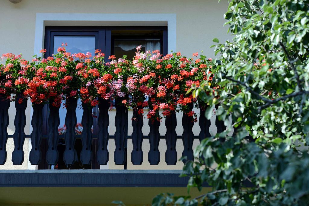 Apartment House Koprivnik Zreče Dış mekan fotoğraf